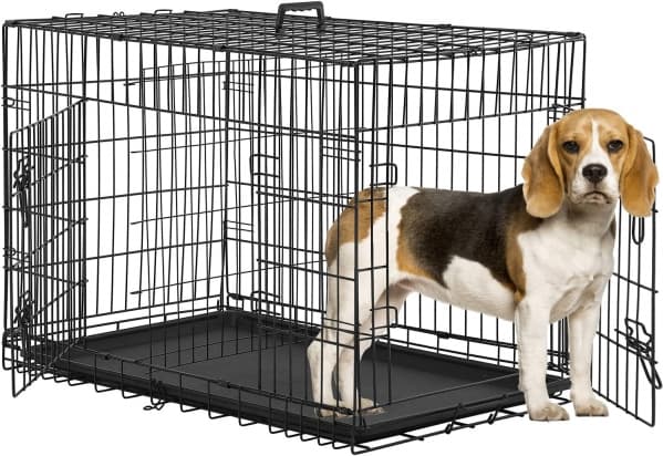 BestPet Folding Dog Crate